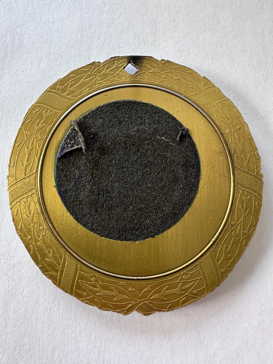 Military medallion of the Armed Forces of the Czech Republic 7